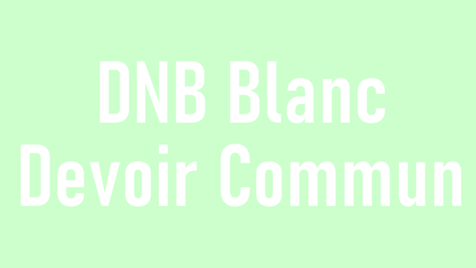 logo DNB Blanc devoir commun (1).png